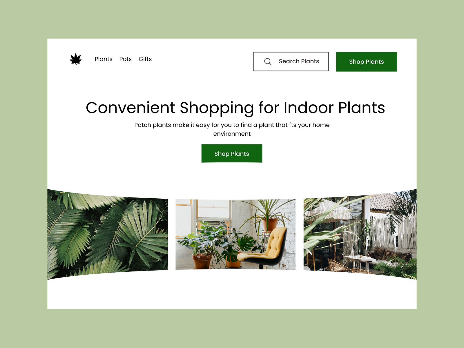 Patch Plants by Doyinsola Oduwole on Dribbble