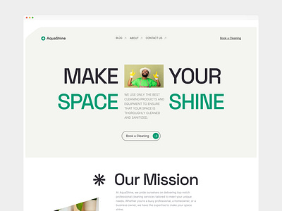 AquaShine Landing Page design illustration logo mobile app design mobile design mobile ui mobile ui design ui ui design uiux