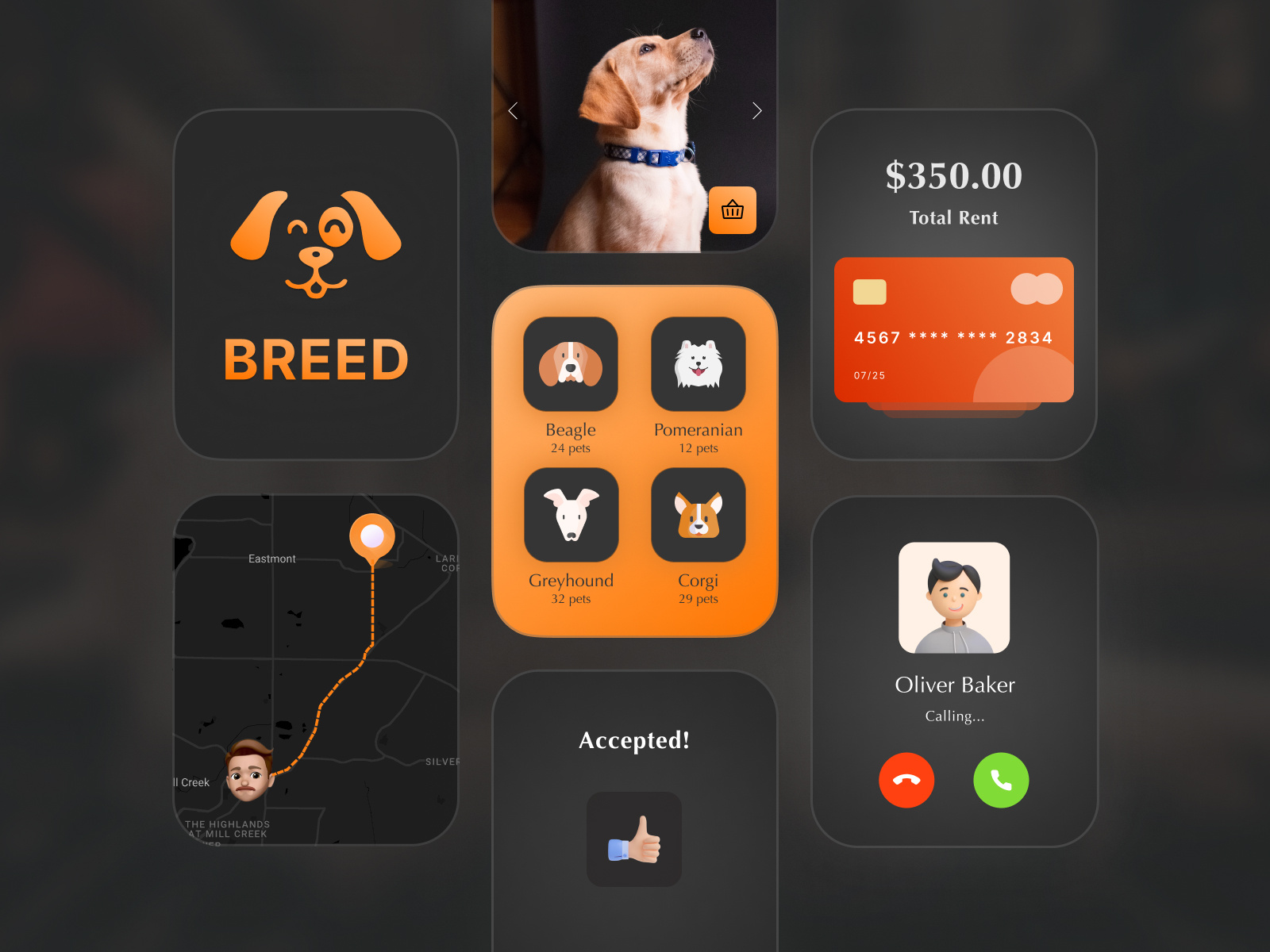 pet-finder-smart-watch-ui-by-hiren-panara-on-dribbble