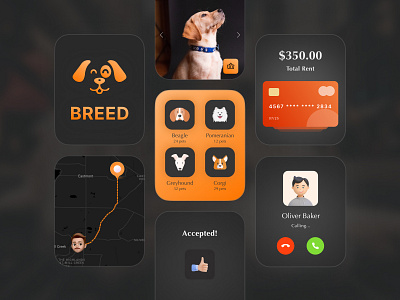 Pet Finder Smart Watch UI animal beagle breed call card dog figma finder map navigation payment pet puppy route search security smartwatch ui ux watch