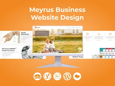Meyrus Business Website Design attractive website business website design graphic design illustration landing page responsive website web design website design