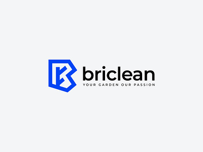 Briclean Logo Design brand identity branding business logo clean logo cleaner logo creative logo eco logo flat logo garden cleaner garden logo logo minimal logo tree cutting ui