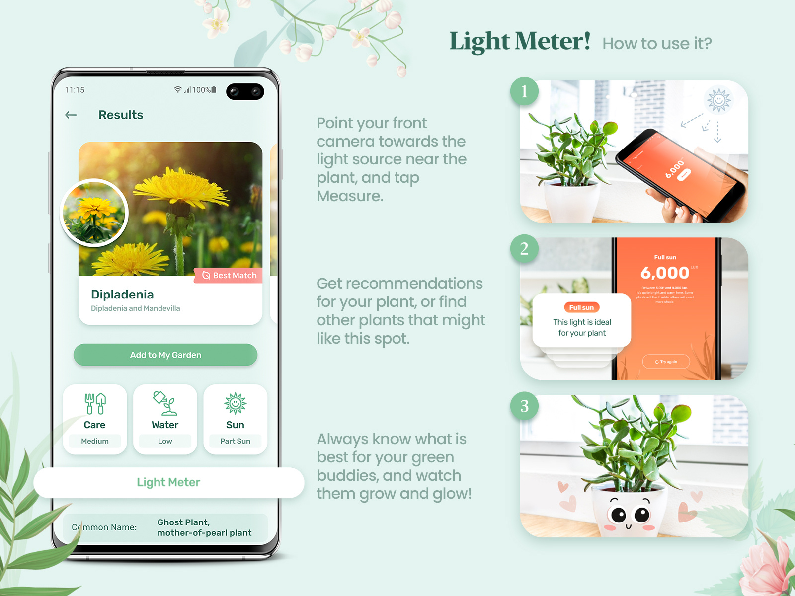 Blossom Light Meter instruction by Alexandra Makarova on Dribbble