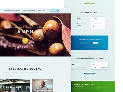 ANPN Landing Page brand branding french association graphic design homepage illustration illustrator ai laboratory landing page nuts hazelnut photoshop psd print designer product designer typo typography ubuntu google fonts ui ux designer