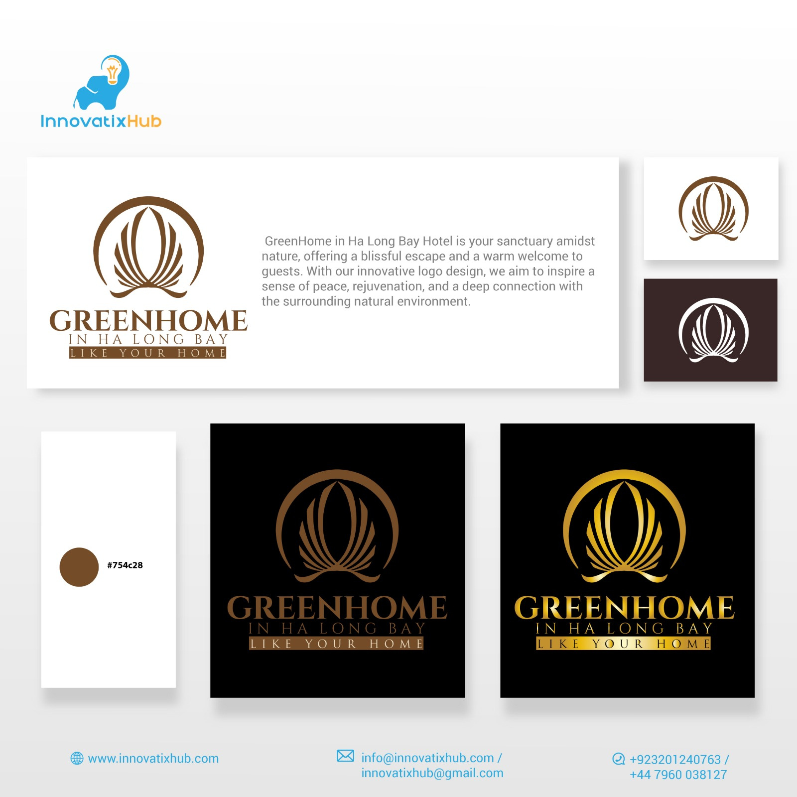 Example of I Will Create A Modern Hospital Logo 
