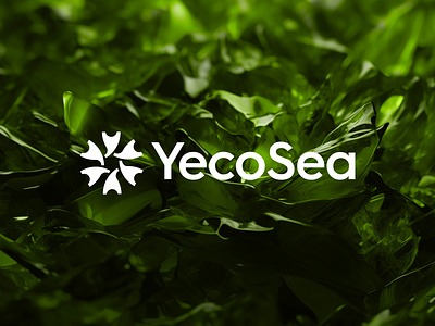 YecoSea - Logo Design brand identity design branding build creative logo eco environment friendly gear global help jeroen van eerden life logo logo design monogram nature ocean sea seaweed y