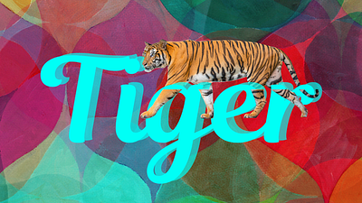 tiger art graphic design