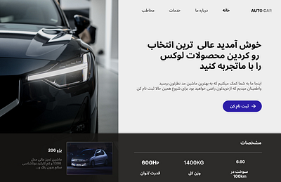 landing peg car shop branding graphic design ui