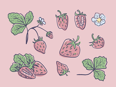 Strawberry berry botanical cartoon design floral food forest fruit hand drawn illustration nature nutrition organic plant ripe sketch strawberry sweet vegan wild strawberry