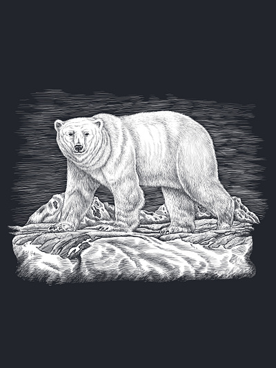 Polar bear apparel black and white clothing crosshatch design illustration wildlife
