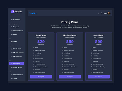 ProKPI Pricing Plan Ui Design app best application best design e commerce website branding design e commerce website ecommerce website ui design food voucher app human centered design illustration mobile app modern design website newlook website ui design website ux design ux design website w web app design web application design website design