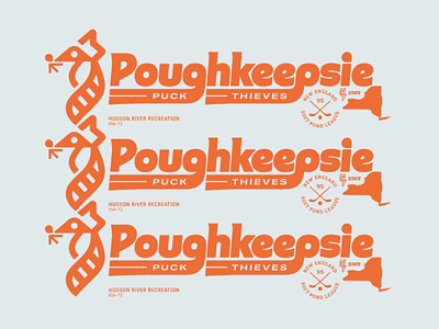 Poughkeepsie Puck Thieves animal badge hockey icon logo new york racoon
