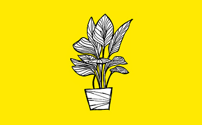 Plant (Illustration) design graphic design illustration