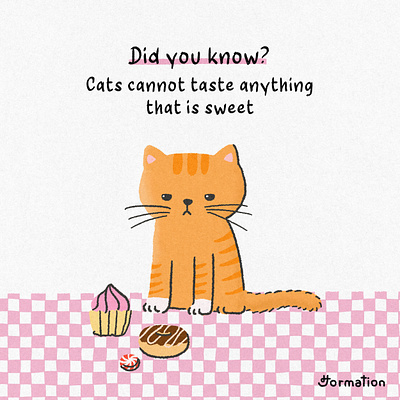 Cats can't taste sweet animal cartoon cat cats cute did you know digital art digital illustration drawing fact of the day fun fact illustration kitten pet procreate sweet sweets