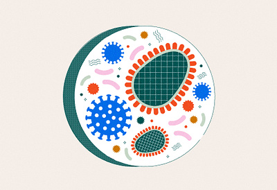 Petri Dish color palette design germs graphic illustration petri dish