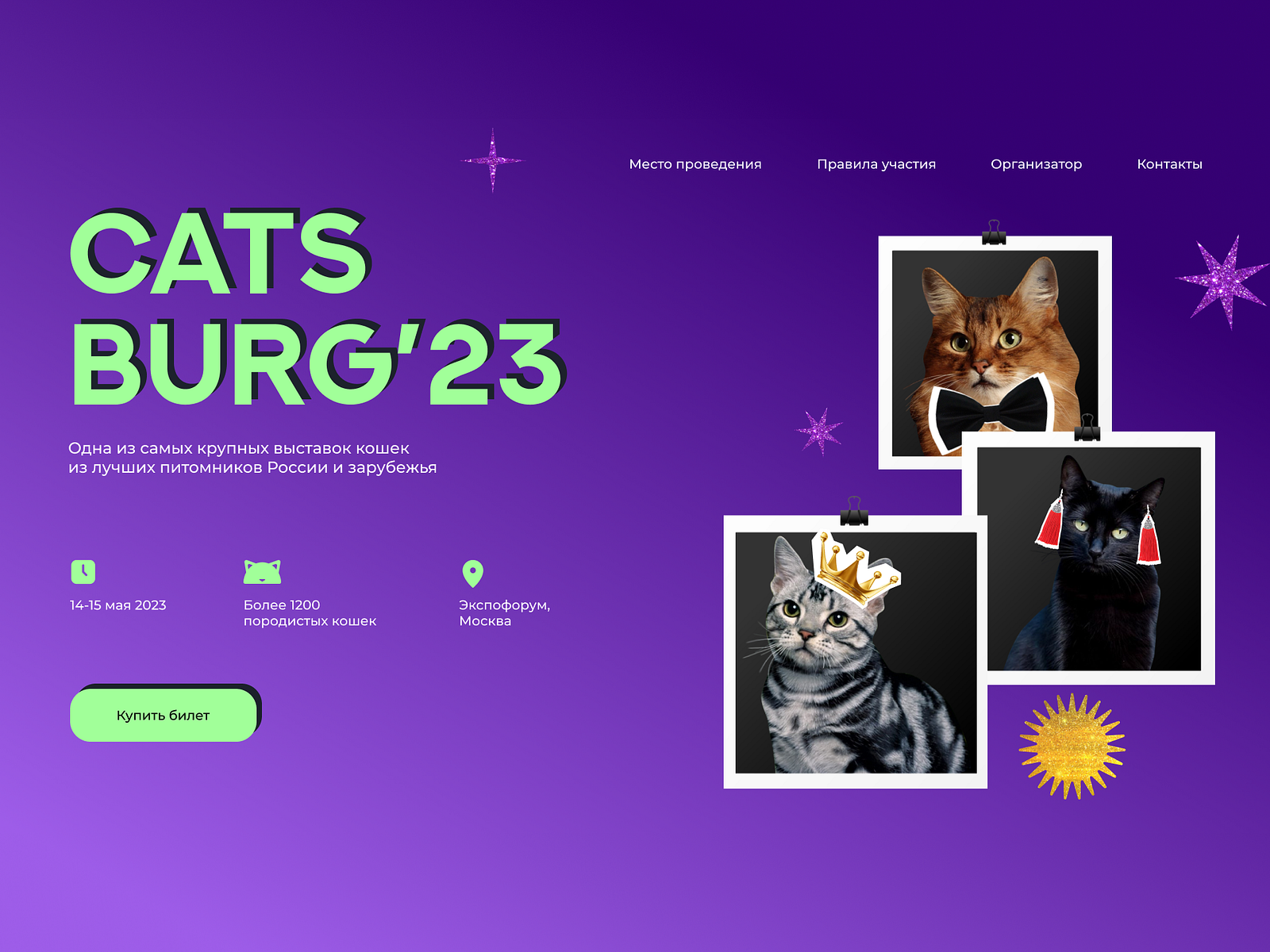 Promo site concept for Cat show by Valeria Nigametzianova on Dribbble