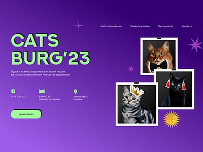 Promo site concept for Cat show animation branding design ui
