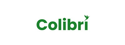 Colibrí Logo animals branding illustration logo nature