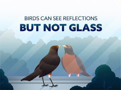 Birdsafe #2 american robin binoculars birder birding birds conservation design environment glass illustration reflection robin