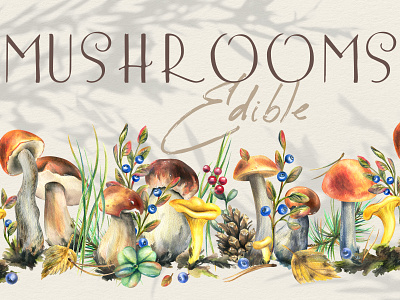 Edible forest mushrooms watercolor hand drawn clip art nature