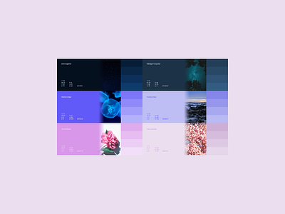Loop Color Palette blue brand system branding branding and identity clean color color palette design graphic design guidelines identity minimal modern navy palette photography pink shades tech tints