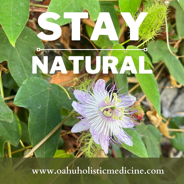 Natural Medicine Doctor Oahu Holistic Medicine by Oahu Holistic