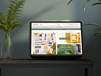 Ora's Amazing Herbal - Skincare Products Web Design beauty products bottles buy clean creames eco friendly ecommerce figma herbal products minimal online shopping shop skincare website design