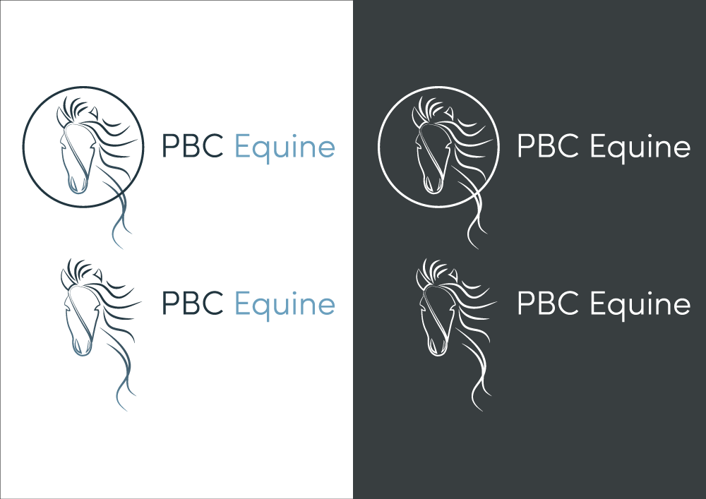 Logo for a horse riding and sales business design logo