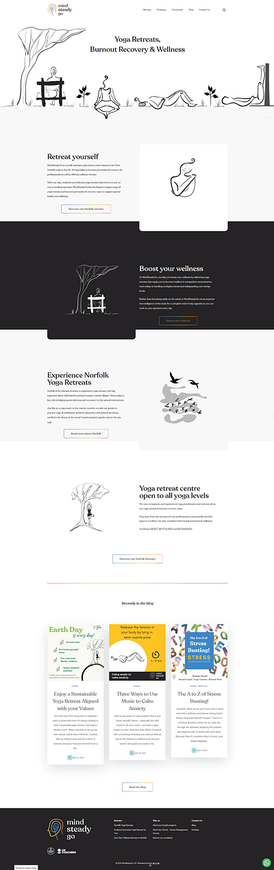MindSteadyGo Website Redesign design graphic design vector flat illustration web design