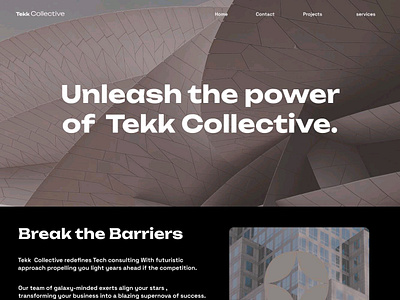 Tekk collective design ui ux