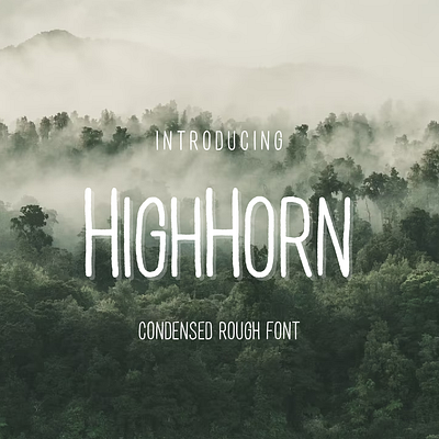 Highhorn Font adobe illustration font fontlab typography