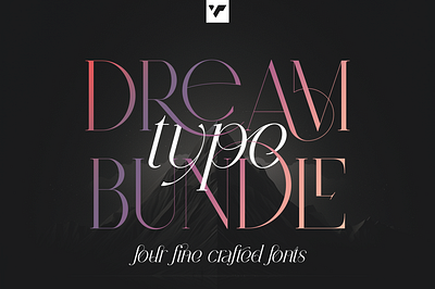 DREAM TYPE BUNDLE - 4 CREATIVE FONTS brand branding bundle creative design font illustration lettering logo ui