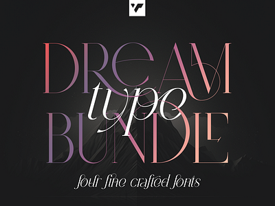 DREAM TYPE BUNDLE - 4 CREATIVE FONTS brand branding bundle creative design font illustration lettering logo ui