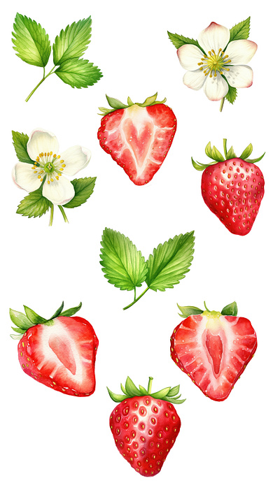 Strawberry watercolor flower graphic design illustration vector watercolor