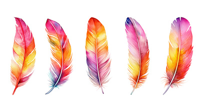 Feather watercolor feather watercolor graphic design illustration vector watercolor