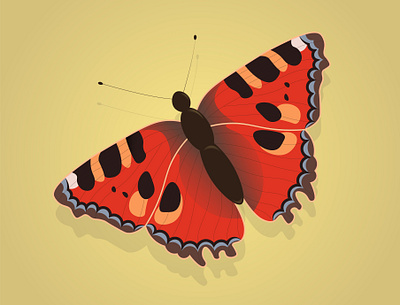 BUTTERFLY adobe illustrator butterfly design graphic design illustration vector vector graphic