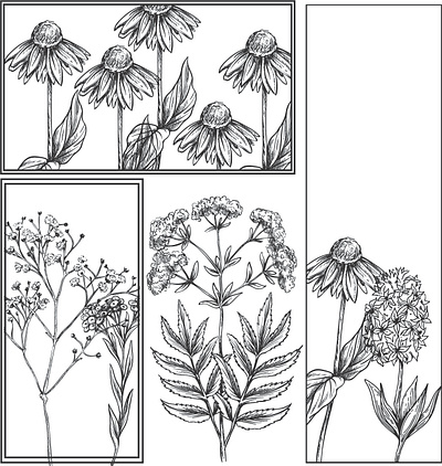 Botanical Garden Illustration design illustration