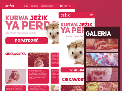 Hedgehog protection in Poland landing page design figma hedgehog landing page nature poland slavic ui web design