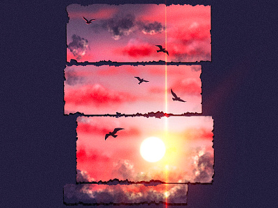 Sunset vibes birds branding design illustration procreate sunset