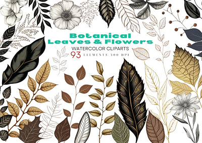 Botanical Leaves and Flowers clipart leafs