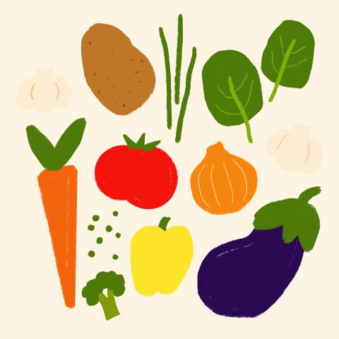 Vegetables animation illustration motion graphics