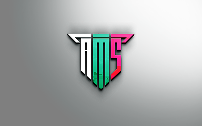 AMS with bulgarian flag logo design graphic design logo
