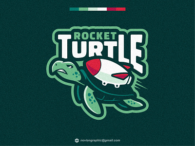 ROCKET TURTLE tortoise