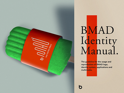 BMAD brand identity manual cover revision branding