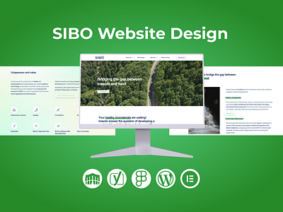 SIBO Website Design attractive website business website design graphic design illustration landing page responsive website web design website design