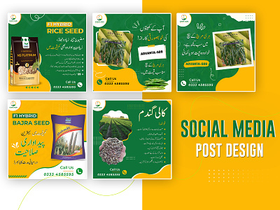 SOCIAL MEDIA POST - SUNNY AGRI SERVICES agriculture post brand design graphic design poster design social media posts