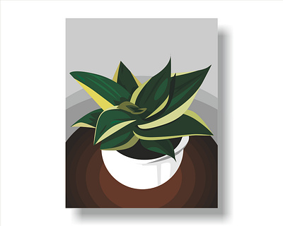 Sansivera Houseplants in a Pots decorative plant houseplant illustration lidah mertua nature plant sansivera