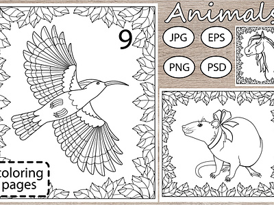 Animals - 9 coloring pages tupai