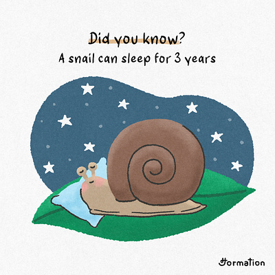 A snail can sleep for 3 years animal art cartoon did you know digital art digital illustration fact fun fact illustration procreate sleep snail