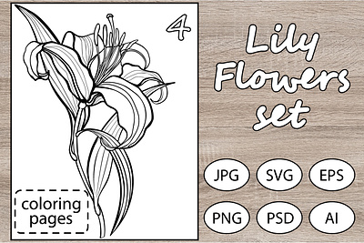 Lily Flowers Set for cutting